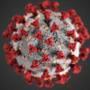 Business Faculty Comment on Coronavirus