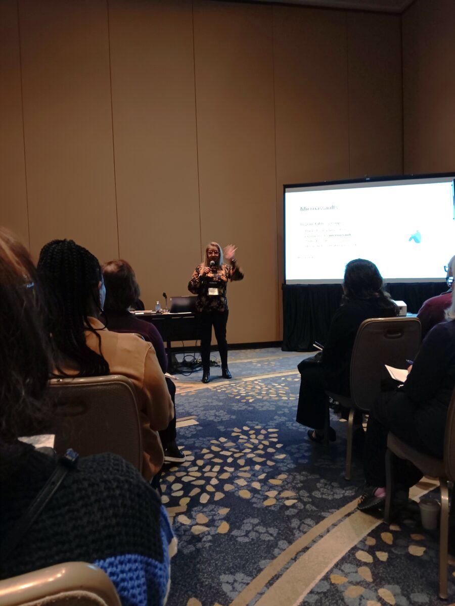 Dr. Waheeda Lillevik giving a presentation at NAPAHE